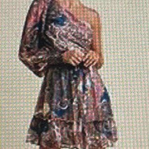 Size 4 Venus One shoulder paisley dress